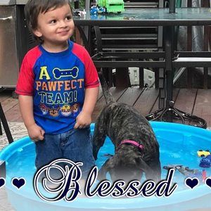 Meet your Posher, Diane